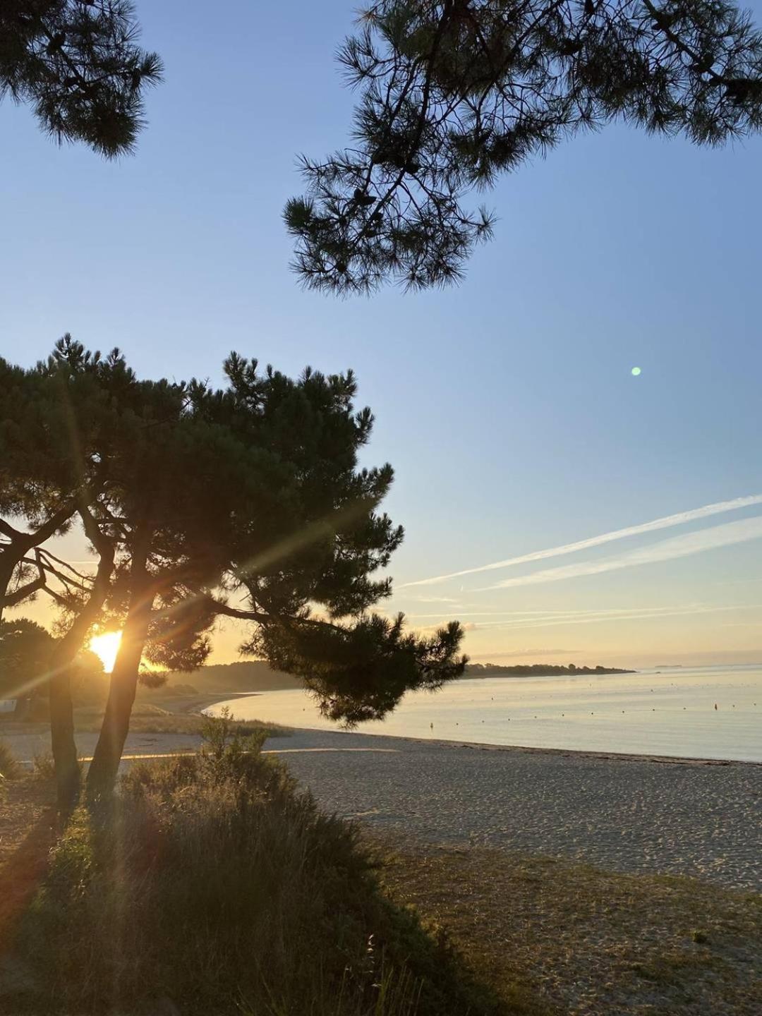 Confortable Studio, Wifi, Parking, Proche Plage Carnac Zewnętrze zdjęcie